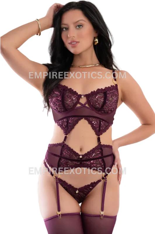 4pc Sparkling Wired Top, Garter Belt, Thong & Stockings